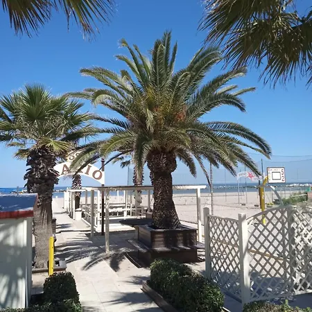 Отель Bonaria Sul Mare Римини